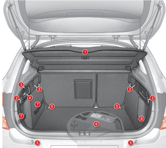 Arrumações da mala